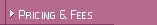 Pricing & Fees